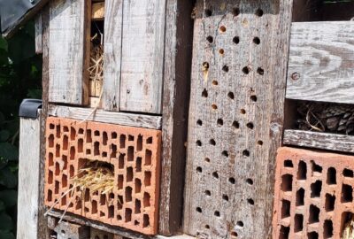 Insectenhotel