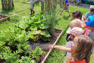 Moestuin