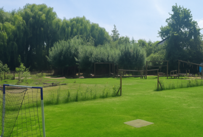 Trapveld